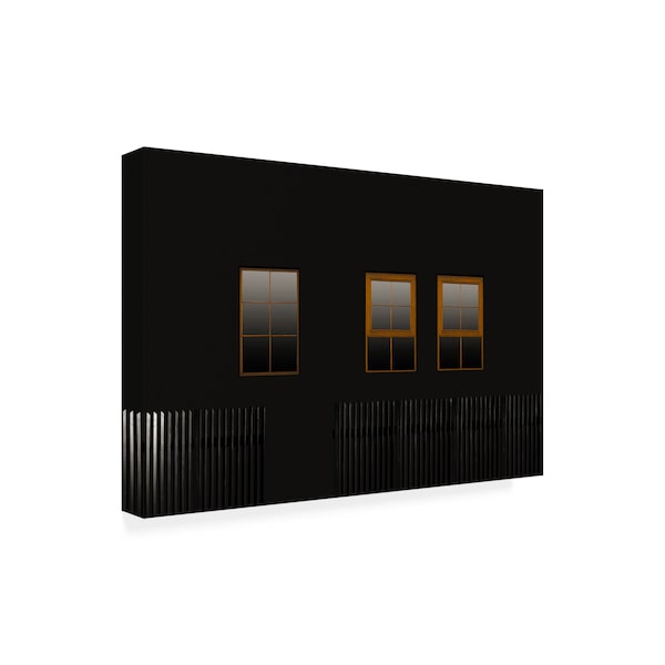 Inge Schuster 'Windows In The Dark' Canvas Art,30x47